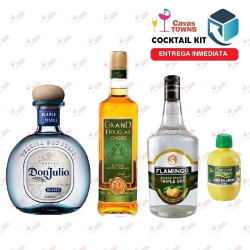 Tequila Don Julio Cocktail Kit Cactus Kicker - 2 - Cavas Towns