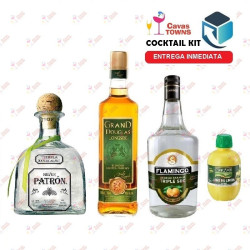 Tequila Patron Cocktail Kit Cactus Kicker - 2 - Cavas Towns