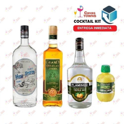 Tequila Viuda de Romero Cocktail Kit Cactus Kicker - 2 - Cavas Towns