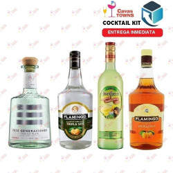 Tequila Tres Generaciones Cocktail Kit Downhome Punch - Cavas Towns