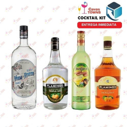 Tequila Viuda de Romero Cocktail Kit Downhome Punch - Cavas Towns