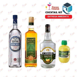 Tequila Cuervo Cocktail Kit Cactus Kicker - 2 - Cavas Towns