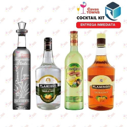 Tequila Don Ramon Cocktail Kit Downhome Punch - Cavas Towns