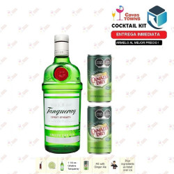 Ginebra Tanqueray London Dry 750 ml - Cavas Towns