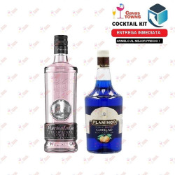 Ginebra Puerto de Indias Strawberry España - Cavas Towns