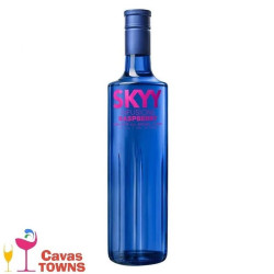 Vodka Skyy Infusions Raspberry - 750 ml - Cavas Towns