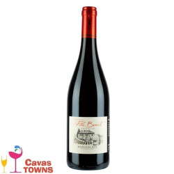 Vino Tinto Frances Domaine Du Pere Benoit Gamay 750 ml - Cavas Towns