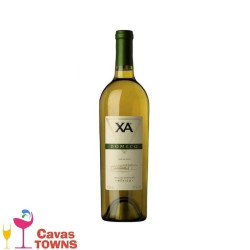 Vino Blanco XA Domecq Blanc de Blancs 750 ml - Cavas Towns