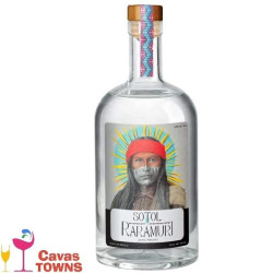 Sotol Raramuri Joven Remari 750 ml - Cavas Towns