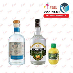 Mezcal Real de Plata Joven 750 ml - Cavas Towns