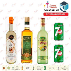 Cocktail Kit Cactus Kicker - 3 Receta Recipe - Cavas Towns