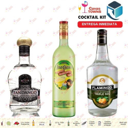 Cocktail Kit Bizzard - 1 Mezcal Receta Recipe - Cavas Towns