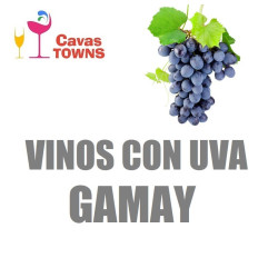 Vinos Con Uva Gamay - Cavas Towns