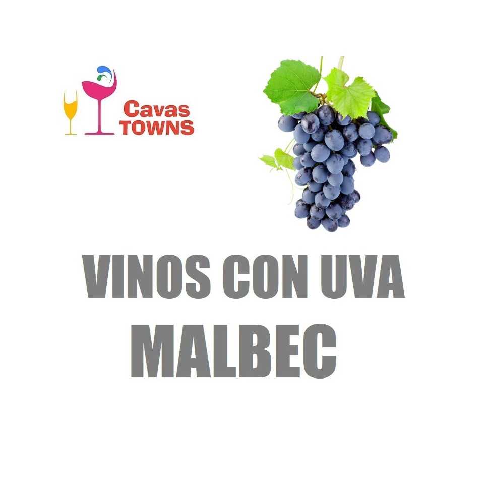 Vinos Con Uva Malbec - Cavas Towns