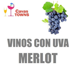 Vinos Con Uva Merlot - Cavas Towns