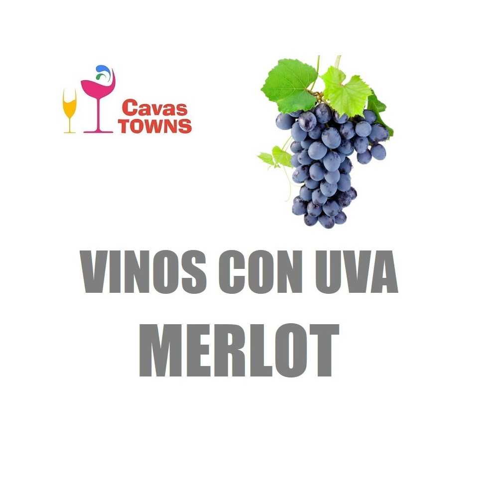 Vinos Con Uva Merlot - Cavas Towns