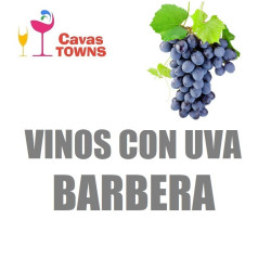 Vinos Con Uva Barbera - Cavas Towns