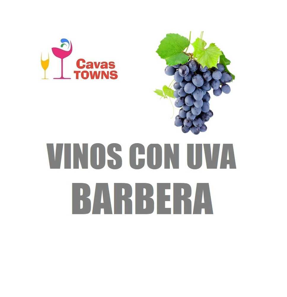 Vinos Con Uva Barbera - Cavas Towns