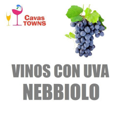 Vinos Con Uva Nebbiolo - Cavas Towns