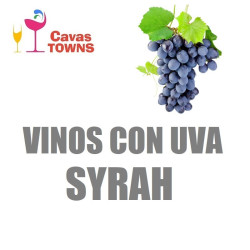 Vinos Con Uva Syrah - Cavas Towns