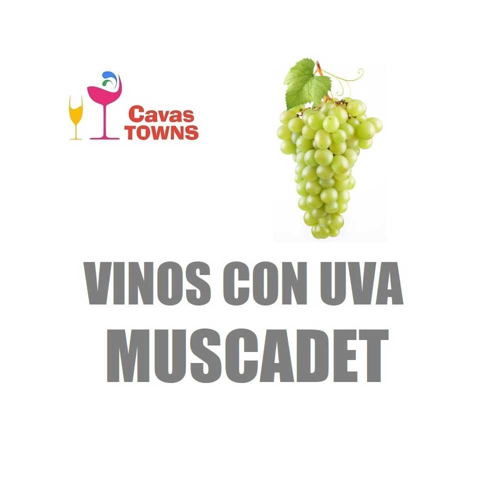 Vinos Con Uva Muscadet - Cavas Towns