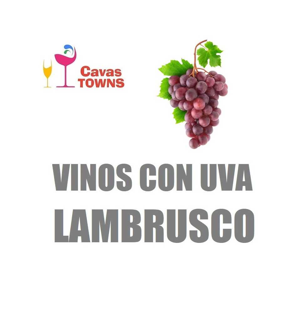 Vinos Con Uva Lambrusco - Cavas Towns