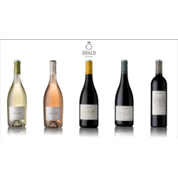 Vino Tinto Obalo Las Arenas Reserva Rioja 750 ml - Cavas Towns