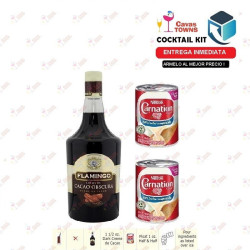 Cocktail Kit Champagne Mimosa - 1 Receta Recipe - Cavas Towns