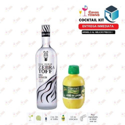 Cocktail Kit Gimlet -1 Receta Recipe - Cavas Towns