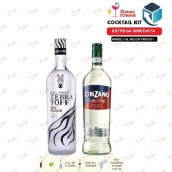 Cocktail Kit Martini -1 Receta Recipe - Cavas Towns