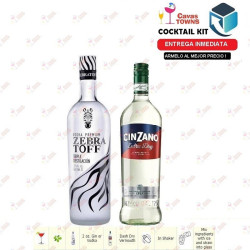Cocktail Kit Martini -2 Receta Recipe - Cavas Towns