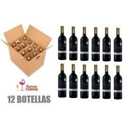 Caja 12 Botellas Vino Tinto Viña Maipo Syrah 750 ml - Cavas Towns