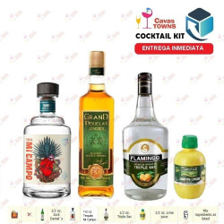 Cocktail Kit Cactus Kicker - 2 Receta Recipe - Cavas Towns