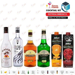 Licor Flamingo de Melon 1 L - Cavas Towns