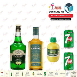 Licor Flamingo de Melon 1 L - Cavas Towns