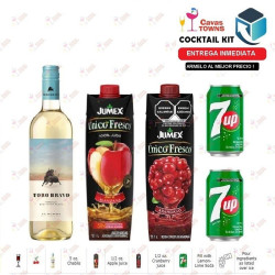 Vino Toro Bravo Verdejo-Sauvignon Blanc 750 ml - Duch Labs