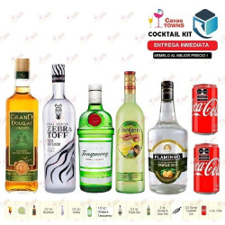 Ginebra Tanqueray London Dry 750 ml - Duch Labs