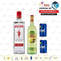 Ginebra Beefeater Cocktail Kit Collins Receta Recipe - Duch Labs