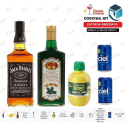 Licor Wind 4 de Menta Verde 750 ml - Duch Labs