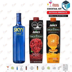 Vodka Skyy 750 ml - Cavas Towns