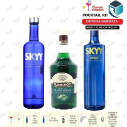 Vodka Skyy Infusions Raspberry - 750 ml - Cavas Towns