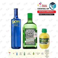 Vodka Skyy Infusions Raspberry - 750 ml - Cavas Towns