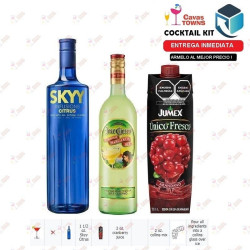 Vodka Skyy Infusions Raspberry - 750 ml - Cavas Towns
