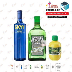 Vodka Skyy Infusions Raspberry - 750 ml - Cavas Towns