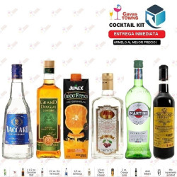 Vermouth Martini Extra Dry 750 ml - Cavas Towns