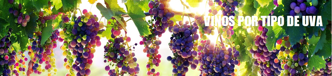 Vinos por Tipo de Uva